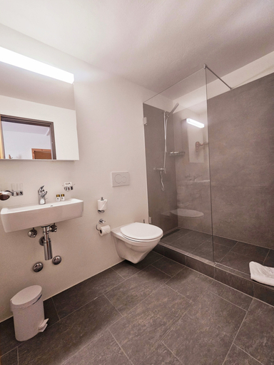 Bathroom 2, Hotel Alpenstadt, Plessur