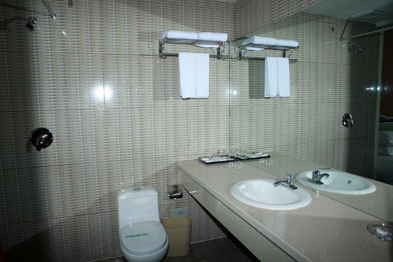 Bathroom, You Yi Feng Hotel, Altay