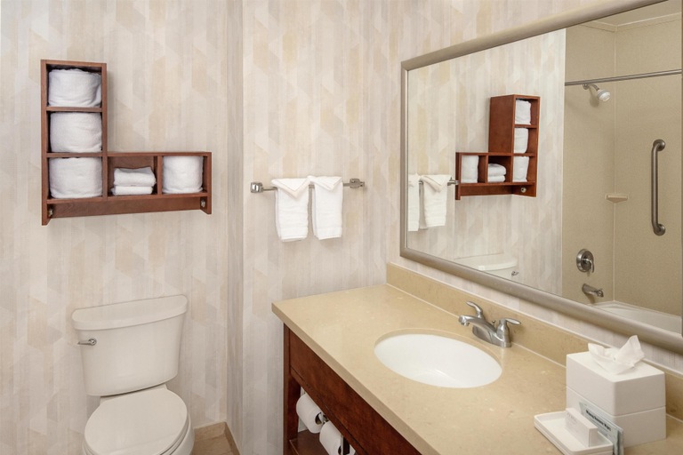 Bathroom 4, Hampton Inn Austin/Oak Hill, Travis