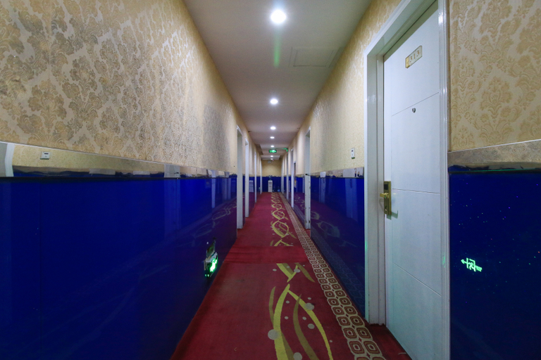 Others 4, Anna Hostel, Jinhua