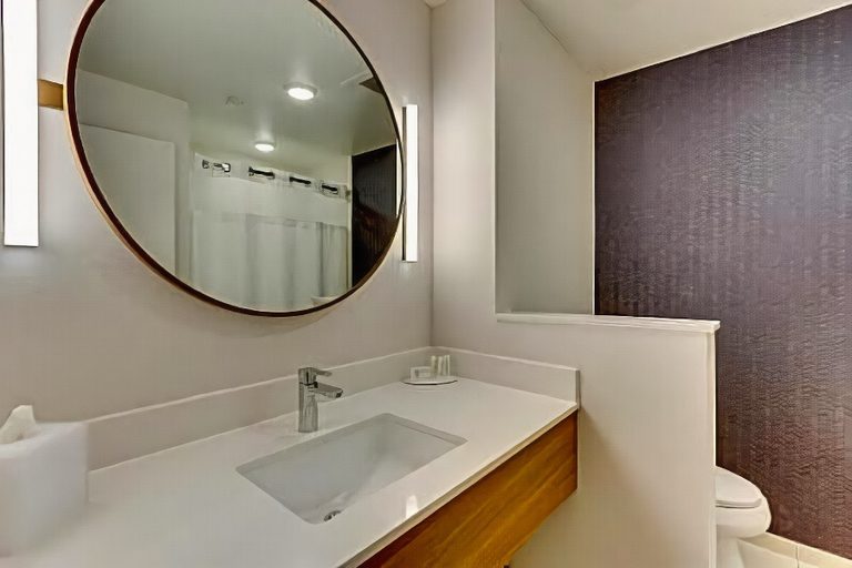Bathroom, Fairfield Inn & Suites by Marriott Dallas Love Field, Dallas
