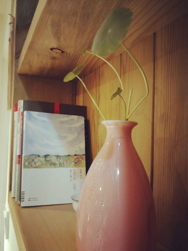 Bedroom 2, Huakaishi Hostel, Chengdu