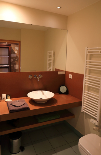 Bathroom 3, Hôtel Restaurant Le Jardin des chouchoux Brantôme, Dordogne