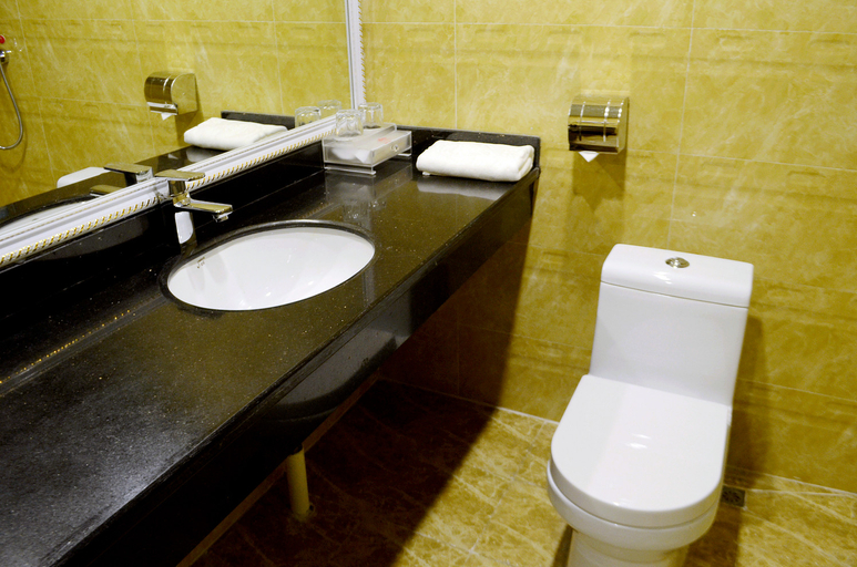 Bathroom, Hyatt Regency Hotel (Heyuan Railway Station Store, Heyuan