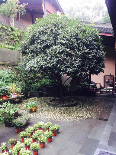 Others 3, Linxi Wushan Inn, Hangzhou