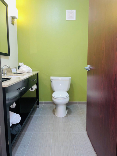 Bathroom, Sleep Inn & Suites Round Rock - Austin North, Williamson
