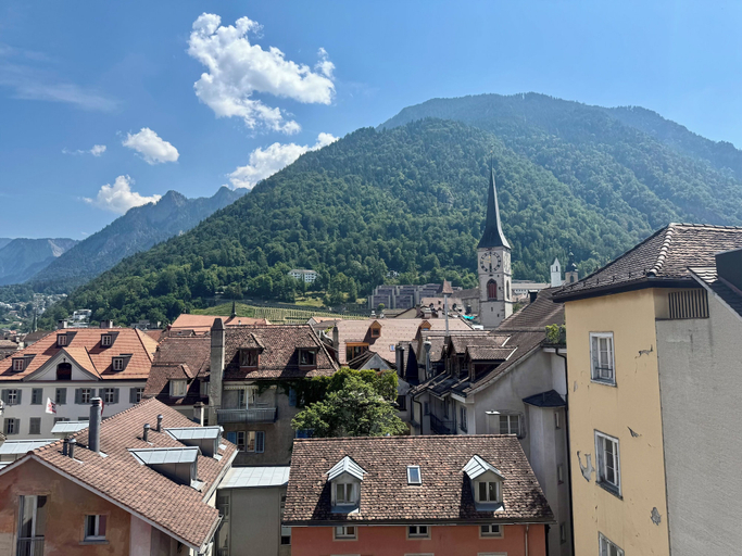 Miscellaneous, Hotel Alpenstadt, Plessur