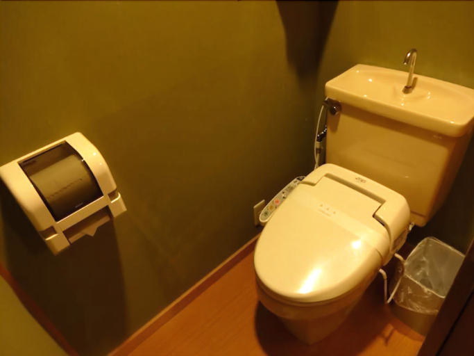 Bathroom 3, Hotel Kurobe, Kurobe