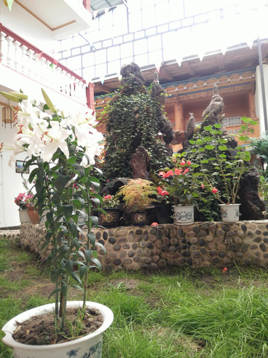 Others 5, Lezhuang Linka Inn, Dêqên Tibetan