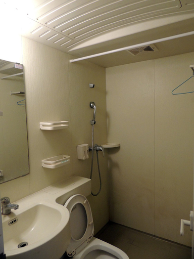 Bathroom 3, linquxianyijiakuaijiejiudian, Weifang