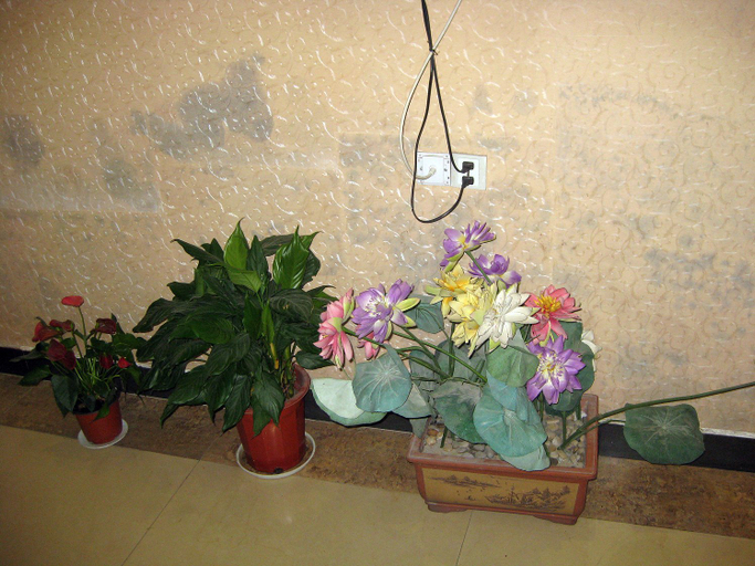 Others 4, Yiwang Hotel, Lishui