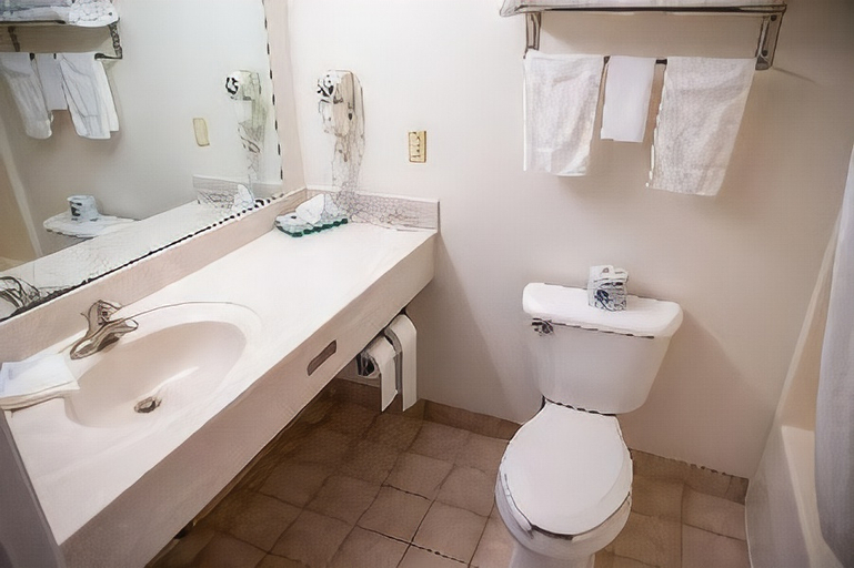 Bathroom 4, GrandStay Hotel & Suites Hastings, Dakota