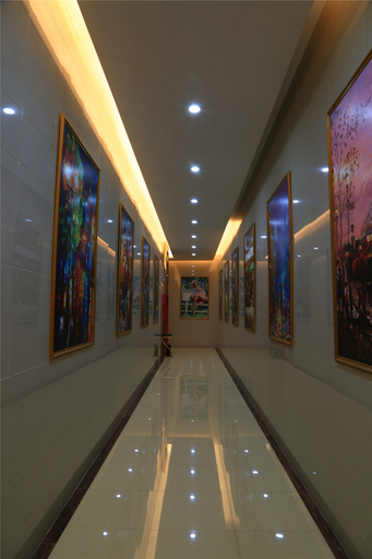 Others 3, 四会星光ホテル(四会星光酒店), Zhaoqing