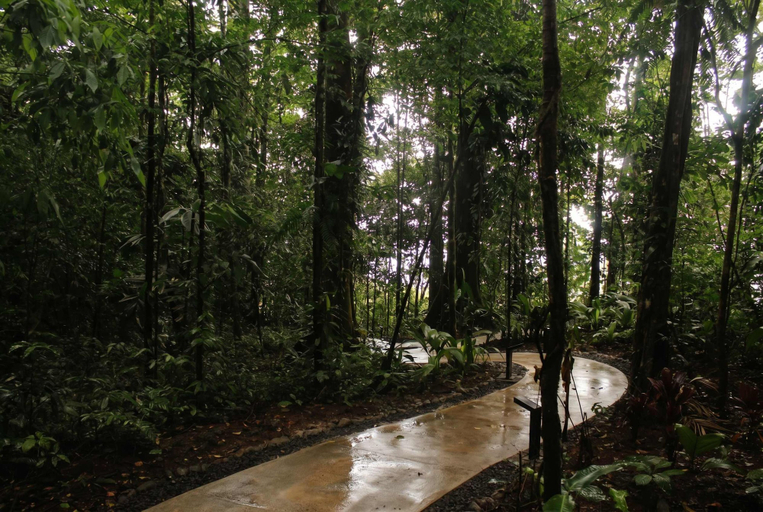 Room 2, Villa Tuc n - Nuak Jungle, San Carlos