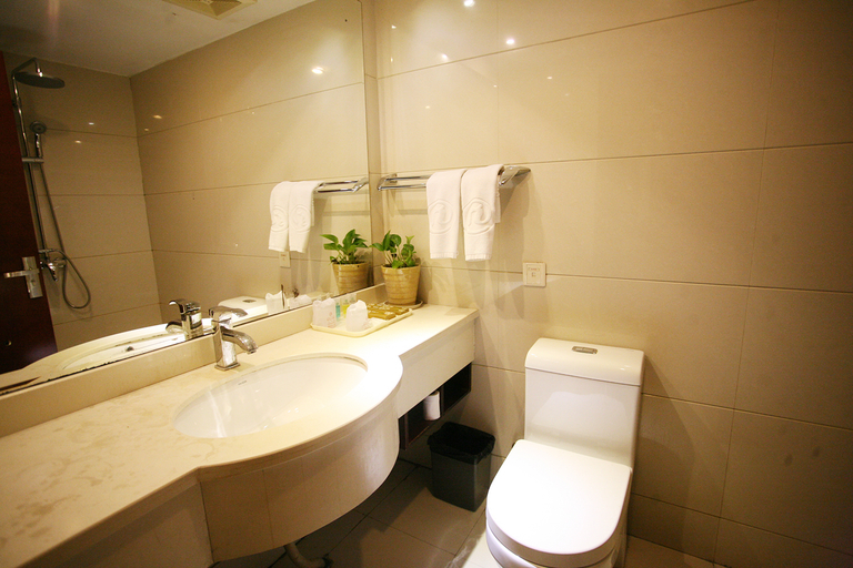 Bathroom 2, QINGLONGDAJIUDIAN, Taiyuan