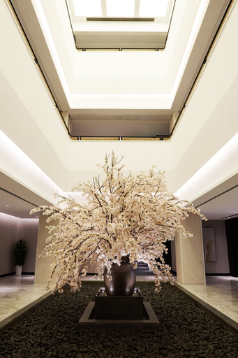 Others 5, Mochi Hotel (Hangzhou Bay Financial Plaza), Ningbo