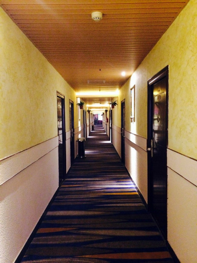 Others 2, Jinmeichen Hotel, Chengdu
