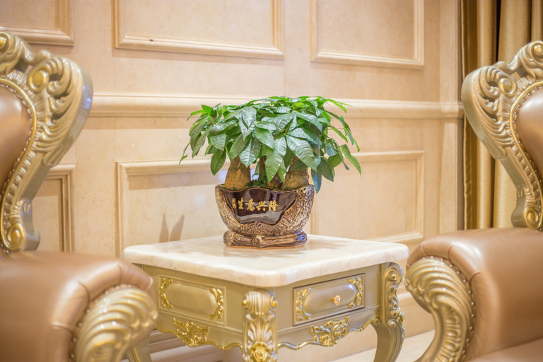 Others 5, Vienna Hotel Bishan Central Street, Chongqing