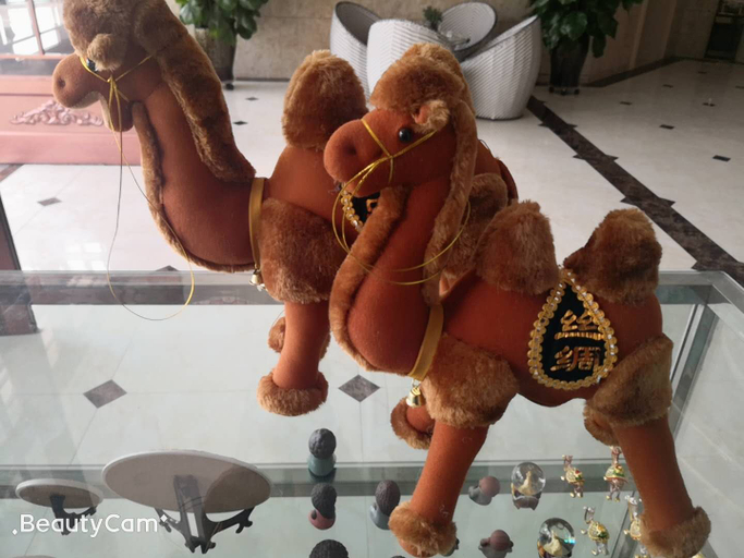 Others 5, Dunhuang Shengshi Hotel, Jiuquan