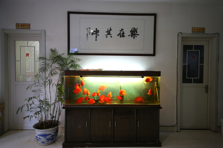 Others 4, Chunxiaqiudong Business Hotel, Jinan