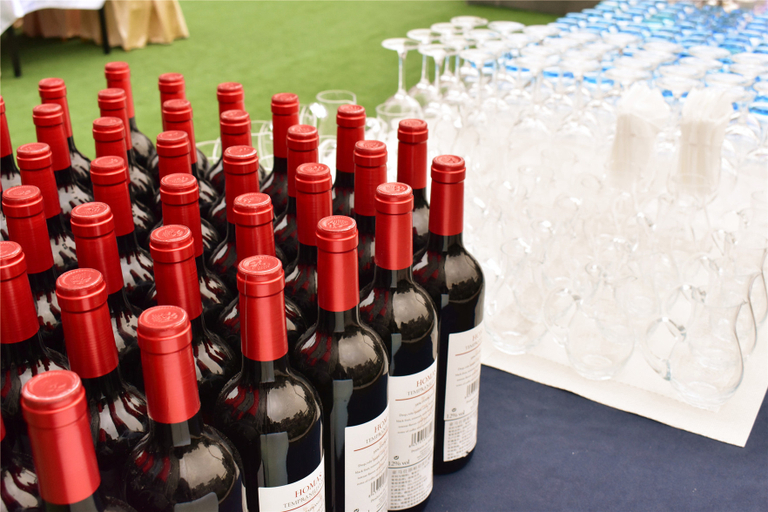 Food & Drinks 4, Xin Jun Yue International Hotel, Foshan