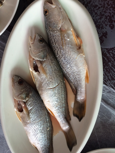Food & Drinks 4, Shengsi Yihai House B & B, Zhoushan