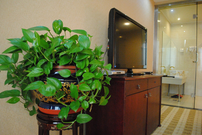 Others 5, Ready Hotel, Taiyuan