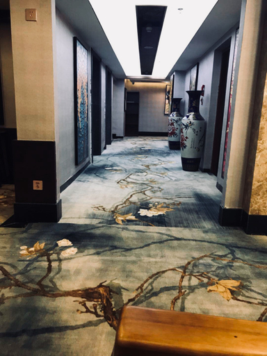 Others 2, Jiahe Boutique Hotel, Qianxinan Buyei and Miao