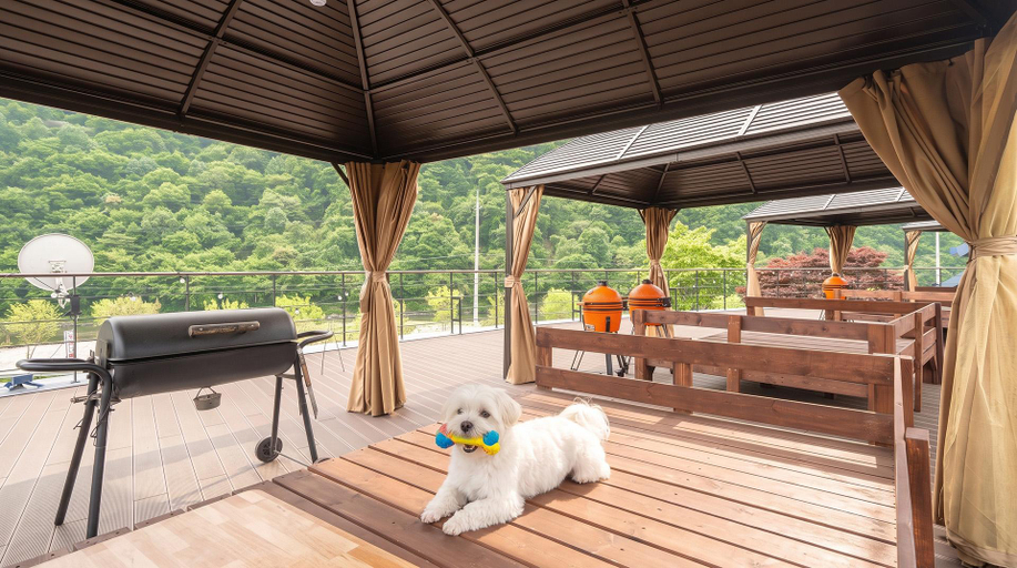Others 5, Hongcheon Noilgangmaeul Pet Pension, Hongcheon