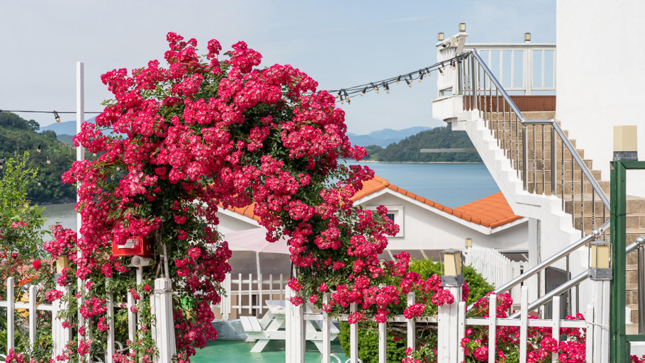 Sport & Beauty 5, Yeosu Grace Family Pension, Yeosu