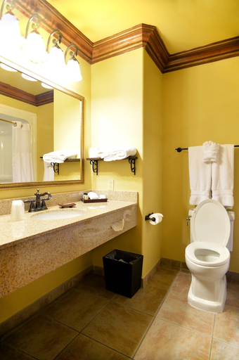 Bathroom 5, Best Western San Isidro Inn, Webb