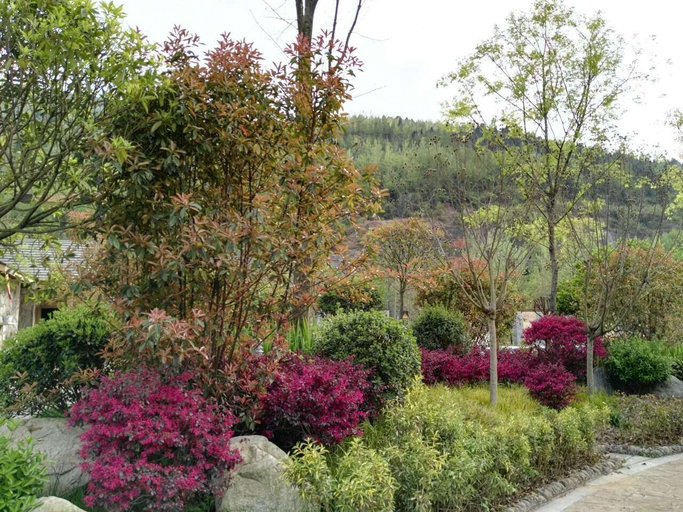Others 5, Jianmenguan International Hot Spring Hotel, Guangyuan