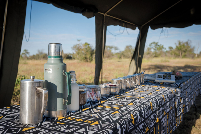 Property grounds 2, Satara Wild Camp- Greater Kruger, Ehlanzeni