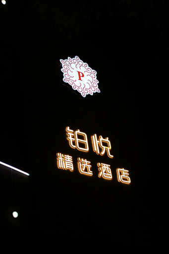 Others 4, PLATINUM HOTEL, Zhangye