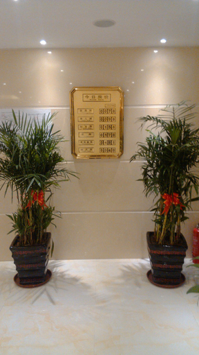 Others 5, Langang Zhixing Hostel, Shanghai