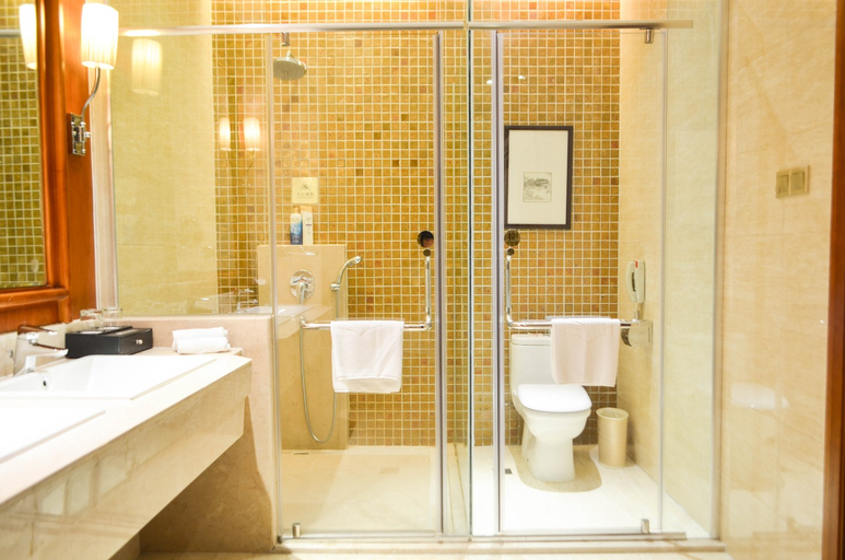 Bathroom 3, ZJNU International Exchange Center, Jinhua