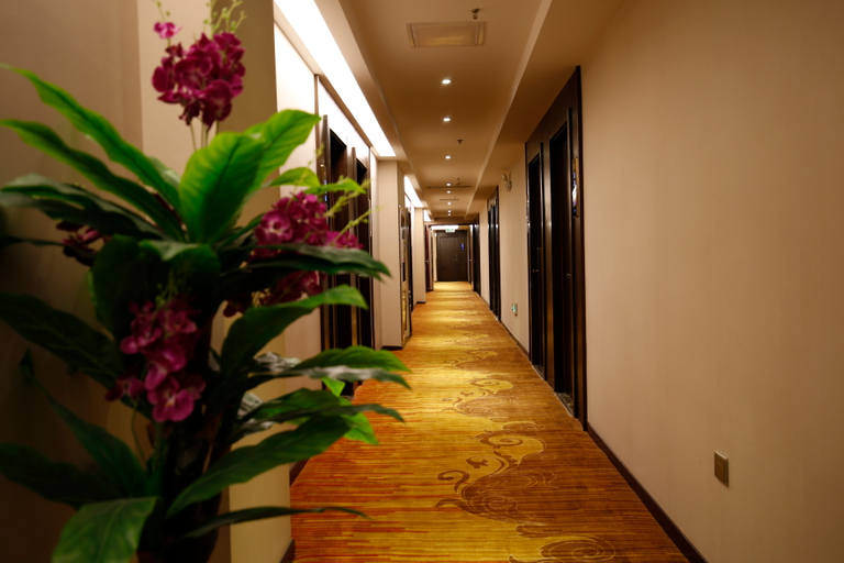Others 5, Wangyuan Business Hotel (Xianglong), Xi'an