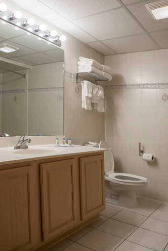 Bathroom 4, Meadowlands Plaza Hotel, Secaucus