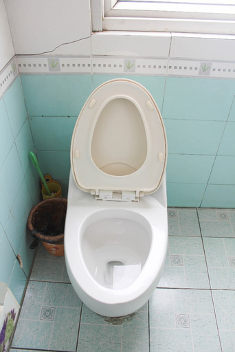 Bathroom 2, Tianshuang Hotel, Shanghai