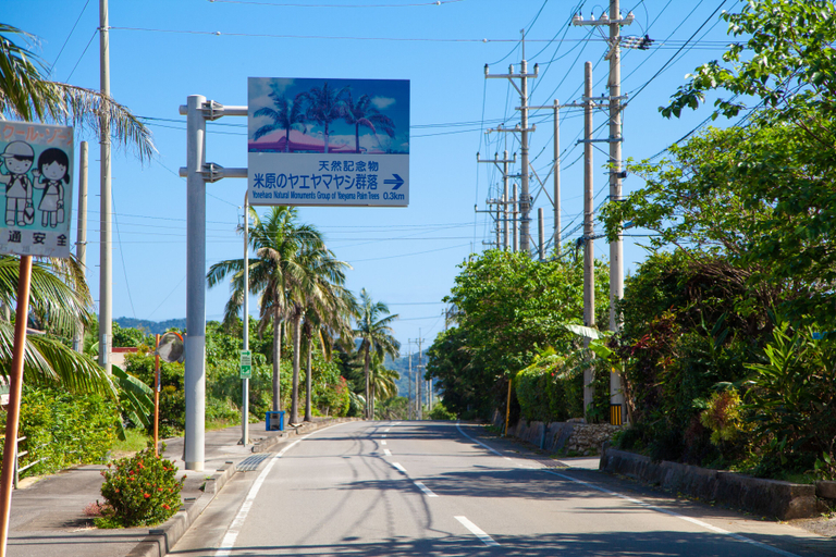 Others 5, Regina Ishigaki Ocean Yonehara / Two-Bedroom Villa, Ishigaki