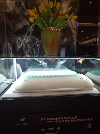 Sport & Beauty 5, DeRUCCI Hotel, Dongguan