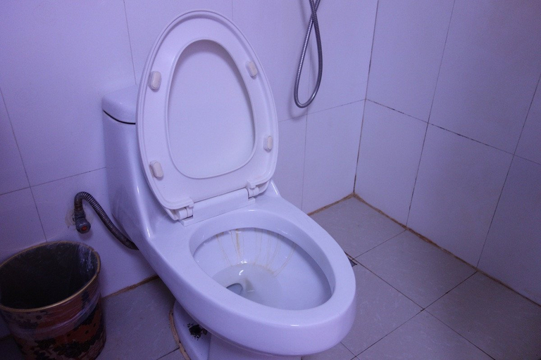 Bathroom 1, Hengbo Hotel, Shanghai