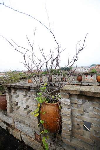 Others 3, Suqingmen Youth Hostel QuanZhou, Quanzhou