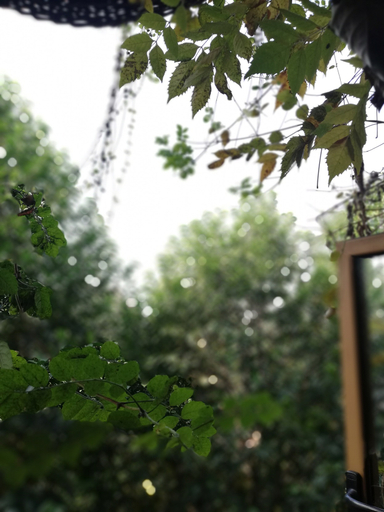 Others 3, Rezen Brook Hotel Hangzhou Xixi Paradise, Hangzhou