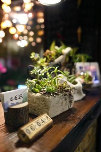 Food & Drinks 5, Yuan Jin Inn, Hangzhou