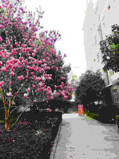 Others 4, Harmony Hostel (Kunming Qianweiying Store), Kunming