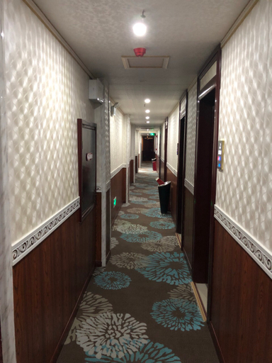 Others 5, Pingchang Jinxi Hotel, Bazhong
