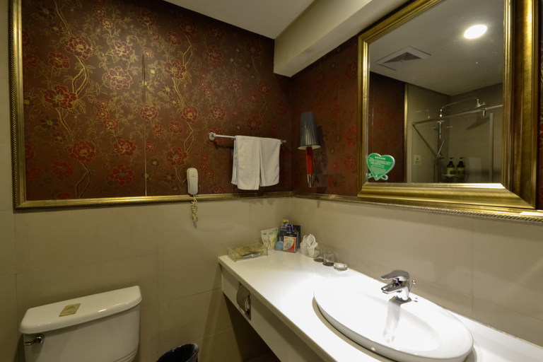 Bathroom 2, Longquan Nanguo Garden Hotel, Lishui