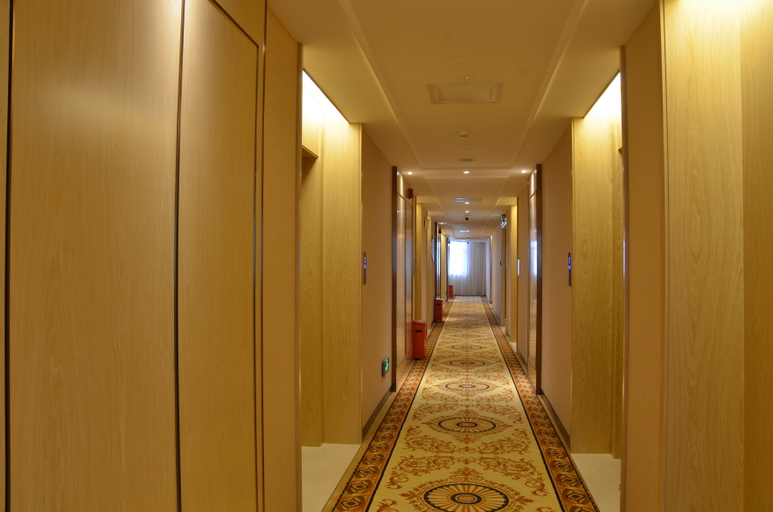Others 5, Vienna Hotel Guangxi Longzhou, Chongzuo