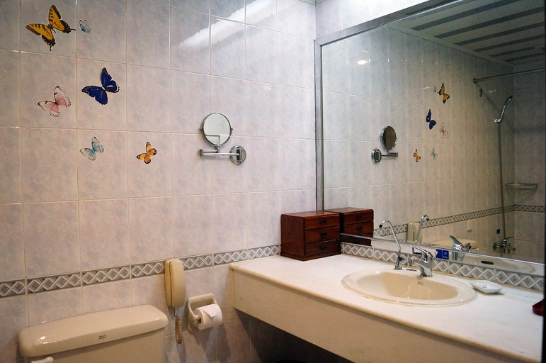 Bathroom, ホテル, Anqing